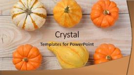  Presentation with rustic wood turquoise - PPT theme featuring november 6 - gourds and pumpkins background and a  colored foreground