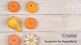  Presentation with rustic - Amazing theme having november 6 - gourds and pumpkins backdrop and a  colored foreground