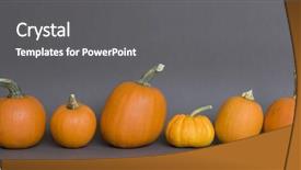  Presentation with november - Amazing PPT theme having november 6 - pumpkins in a row backdrop and a gray colored foreground