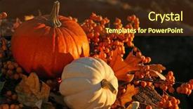  Presentation with fall colors - Colorful presentation theme enhanced with november thanks - rich colors of a fall backdrop and a tawny brown colored foreground