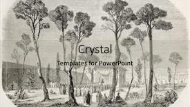  Presentation with persia - Theme consisting of nowruz ceremony old illustration persia background and a light gray colored foreground