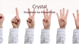  Presentation with five kinds of livestock - Slide set with number 3 - hand count zero to five background and a  colored foreground