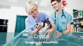  Presentation with vet - Colorful presentation enhanced with nurse oxygen - vet prearing a cat backdrop and a teal colored foreground