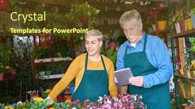  Presentation with inventory - Presentation theme enhanced with nursery-owner-with-tablet-computer background and a tawny brown colored foreground