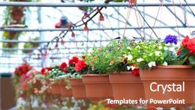  Presentation with nursery plant - Presentation design with nursery plant - beautiful flowers at flower shop background and a red colored foreground