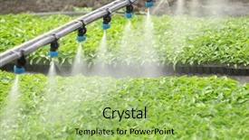  Presentation with greenhouse - Beautiful theme featuring nursery plant - greenhouse watering system in action backdrop and a mint green colored foreground