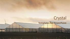  Presentation with greenhouses - PPT theme enhanced with nursery plant - greenhouses at sunrise in denmark background and a  colored foreground
