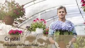  Presentation with flower pedals - Amazing slide deck having nursery plant - portrait of confident gardener holding backdrop and a  colored foreground