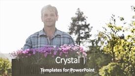  Presentation with flower pots - Slide set consisting of nursery plant - portrait of confident man carrying background and a  colored foreground