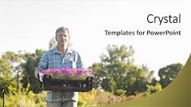  Presentation with flower pots - Slide deck enhanced with nursery plant - portrait of gardener carrying crate background and a  colored foreground