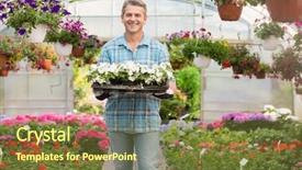  Presentation with flower pots - Colorful presentation design enhanced with nursery plant - portrait of happy gardener carrying backdrop and a  colored foreground