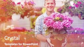  Presentation with hospice flower - Slide set consisting of nursery plant - portrait of happy gardener holding background and a  colored foreground