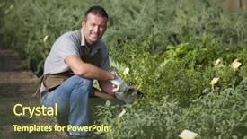  Presentation with greenhouse - Amazing PPT layouts having nursery plant - smiling gardener in a greenhouse backdrop and a  colored foreground