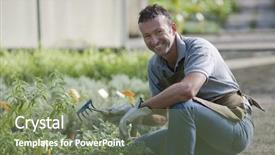  Presentation with nursery plant - Slide deck consisting of nursery plant - smiling gardener in a greenhouse background and a  colored foreground