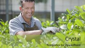  Presentation with greenhouse - Amazing slides having nursery plant - smiling gardener in a greenhouse backdrop and a yellow colored foreground