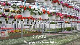  Presentation with nursery - Colorful PPT theme enhanced with nursery backdrop and a gray colored foreground