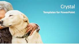  Presentation with guide dog helping blind woman - Audience pleasing slide deck consisting of nurses design - senior woman holding a dog backdrop and a teal colored foreground