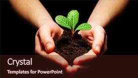  Presentation with nurture - Presentation theme having nurture - hands holdings a little green background and a wine colored foreground