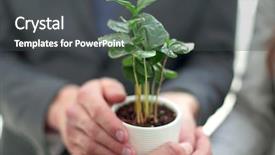  Presentation with team hands - Presentation featuring close up young green shoots background and a dark gray colored foreground