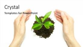  Presentation with plant growth - PPT layouts with growth green - holding a plant between hands background and a white colored foreground
