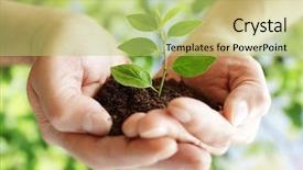  Presentation with hands holding - Amazing presentation theme having care of new development hands backdrop and a mint green colored foreground