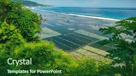  Presentation with coast - PPT theme having nusa penida with sea weed background and a forest green colored foreground