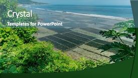  Presentation with weed - Slide deck having nusa penida with sea weed background and a teal colored foreground