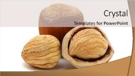  Presentation with hazelnuts - Audience pleasing theme consisting of nutcracker - closeup of hazelnuts isolated backdrop and a lemonade colored foreground