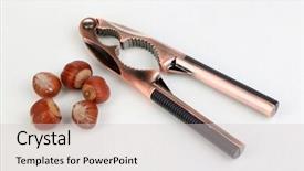  Presentation with hazelnuts - Audience pleasing presentation consisting of nutcracker and hazelnuts isolated on white backdrop and a light gray colored foreground