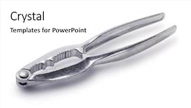  Presentation with dead egret birds lying - Slide set having nutcracker lying on white background background and a white colored foreground