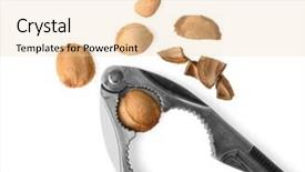  Presentation with apricot - Cool new presentation theme with nutcracker tool with apricot kernels backdrop and a  colored foreground