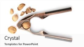  Presentation with apricot - Amazing PPT theme having nutcracker tool with apricot kernels backdrop and a white colored foreground