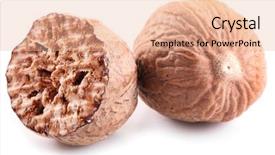  Presentation with white relativity theory - PPT theme with nutmeg on a white background background and a lemonade colored foreground