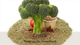  Presentation with octopus on isolated white - Slide set having grey background in astonished wow background and a coral colored foreground.