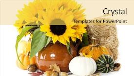  Presentation with sunflowers - Slides featuring nutri o - pumpkins and sunflowers over white background and a  colored foreground