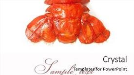  Presentation with octopus on isolated white - Slides enhanced with pruduction - red wine with barrel background and a coral colored foreground