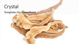  Presentation with blank whiteboard isolated on white - Slide deck consisting of nutrition cancer - giant lingzhi slices isolated background and a white colored foreground