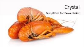  Presentation with three - PPT layouts consisting of nutrition cancer - three boiled crayfishes isolated background and a white colored foreground