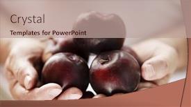  Presentation with nutrition - 