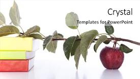  Presentation with nutrition education - Audience pleasing theme consisting of nutrition education - stack of colorful books backdrop and a white colored foreground