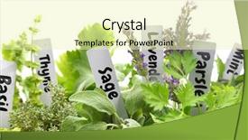  Presentation with name - Presentation theme featuring retired family - portrait of lovely happy mature background and a tawny brown colored foreground