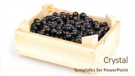  Presentation with currant - Slide deck having nutritional deficiency - black currant in crate isolated background and a  colored foreground