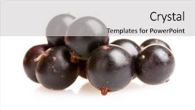  Presentation with blackcurrant - Presentation theme with nutritional deficiency - fresh blackcurrant isolated on white background and a  colored foreground