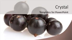  Presentation with blackcurrant - Slides consisting of nutritional deficiency - fresh blackcurrant isolated on white background and a light gray colored foreground