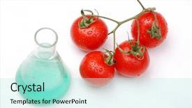  Presentation with biohazard - Presentation design having healthy organic grass fed red background and a gray colored foreground.