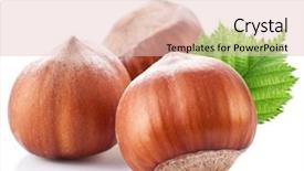  Presentation with nuts - Colorful theme enhanced with nuts filberts isolated with hazelnut backdrop and a lemonade colored foreground