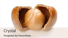  Presentation with nut - Beautiful presentation featuring nutshell - filbert nut isolated on white backdrop and a coral colored foreground