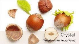  Presentation with hazelnuts - Theme featuring nutshell - forest nuts hazelnuts isolated background and a lemonade colored foreground