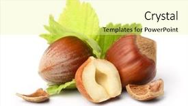  Presentation with hazelnuts - Presentation design with nutshell - forest nuts hazelnuts isolated background and a blonde colored foreground