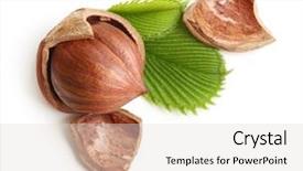  Presentation with hazelnuts - PPT theme having nutshell - forest nuts hazelnuts isolated background and a lemonade colored foreground